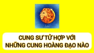 Cung Sư Tử hợp với cung nào? Giải đáp chi tiết từ A đến Z